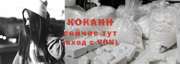 молекула духа Богородск