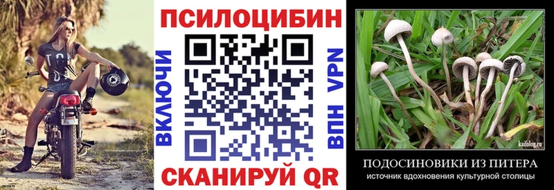 Галлюциногенные грибы мицелий Судак