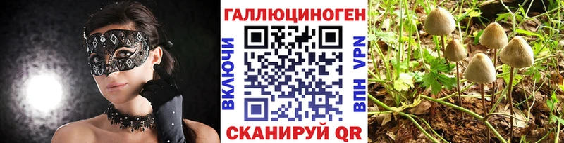 Псилоцибиновые грибы прущие грибы  Купить  Судак 